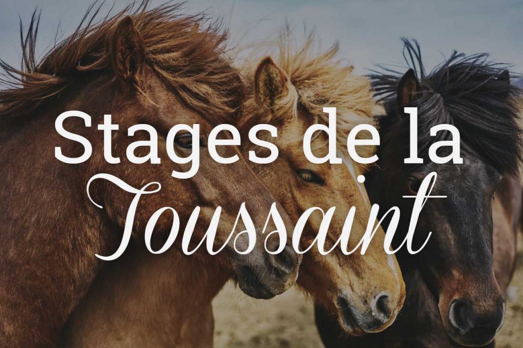 Stages d'équitation de la Toussaint