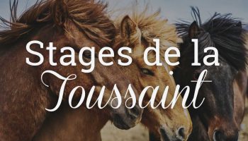 Stages d'équitation de la Toussaint