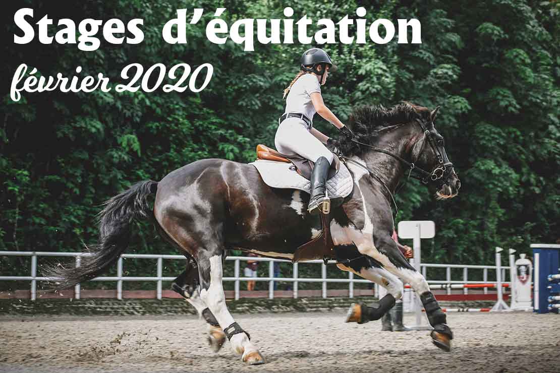 Stages d'équitation la Cavalerie des enfants